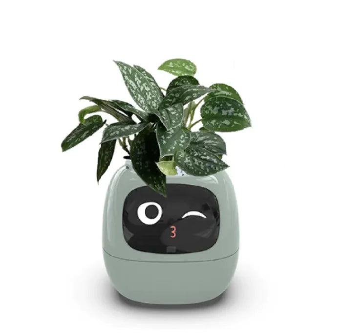 AI Smart Plant Pot